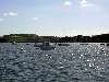 Baie des Anges